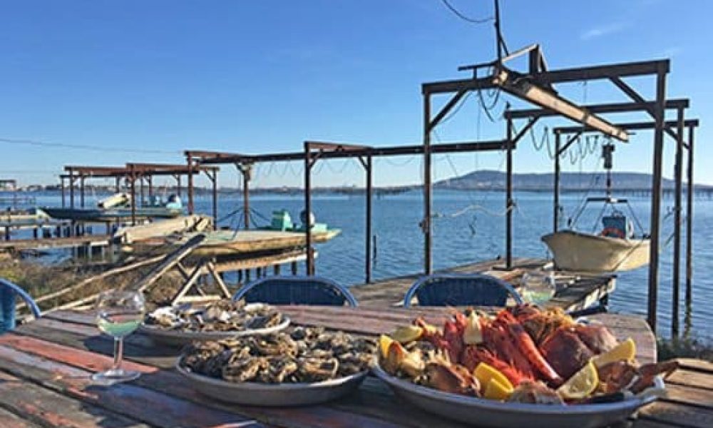 degustation-au-bord-de